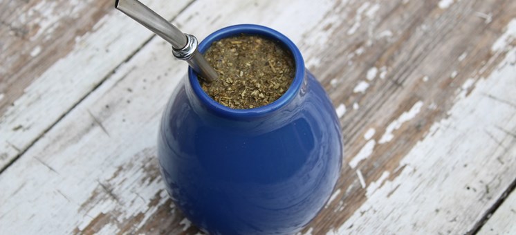 Rhonda's kleine Teekunde - Teil 5 - Mate Tee - Dein-Ostholstein