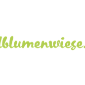 onlinemarketing - Wildblumenwiese - Wildblumenwiese