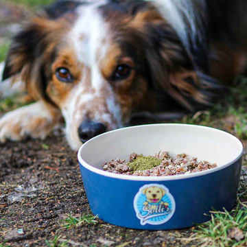 Sollis Hundebedarf Kleine Auswahl unserer Produkte Nahrungsergänzungen für Hunde