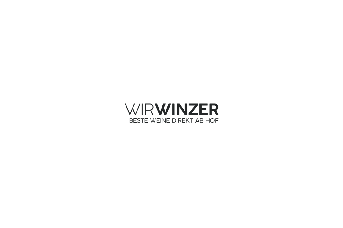 onlinemarketing: WirWinzer - WirWinzer