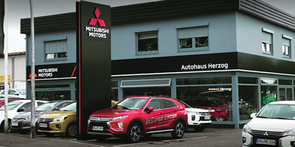 regionale Unternehmen - Neustadt in Holstein - Autohaus Herzog - Autohaus Herzog